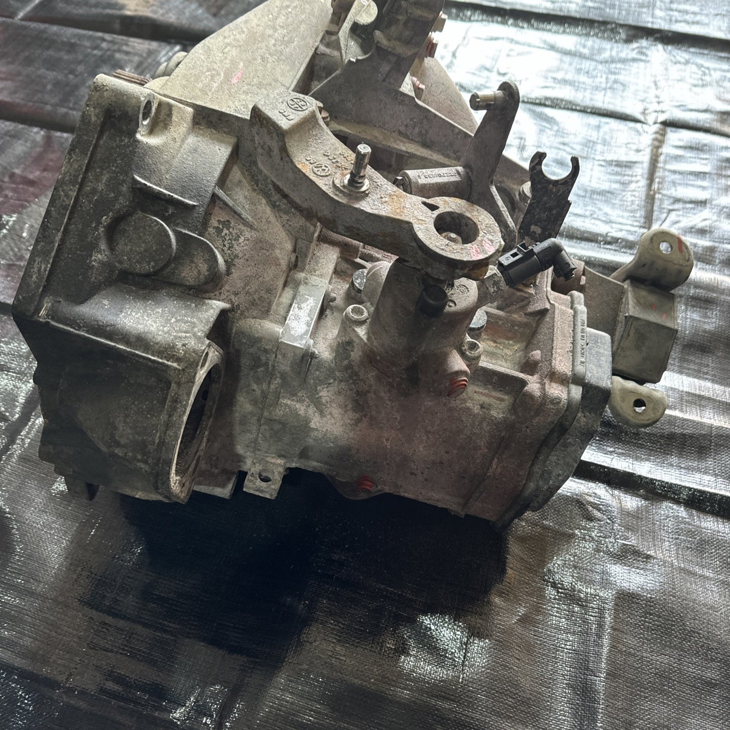 Image #7