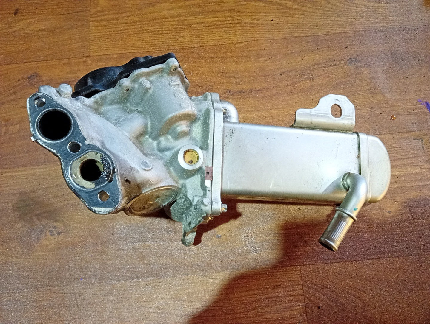 Image #4