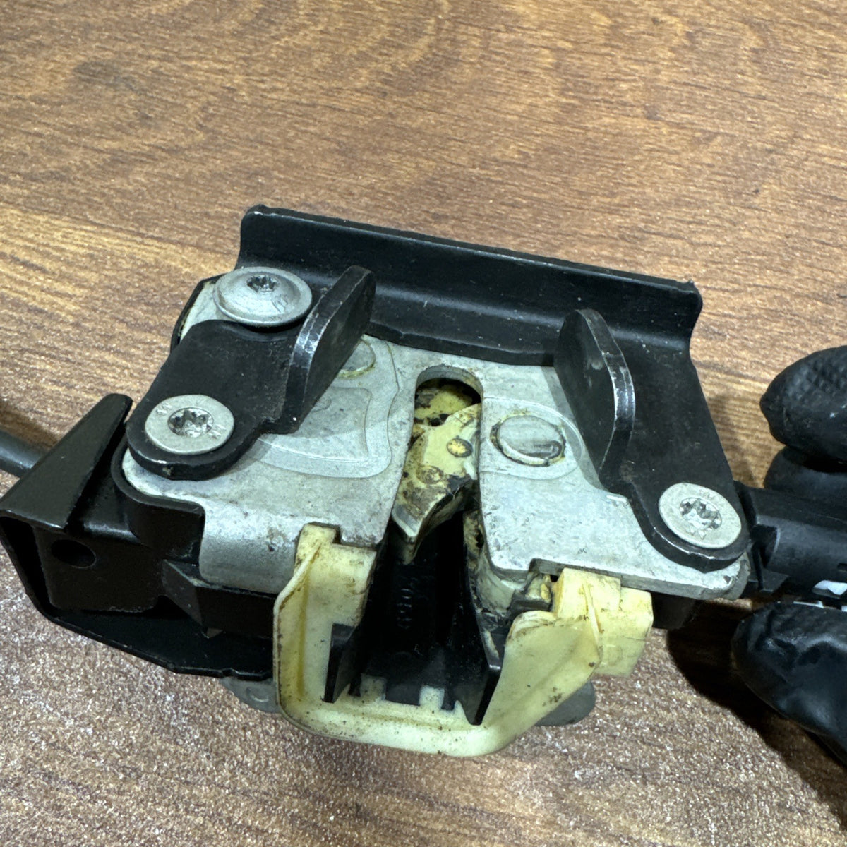 Image #5